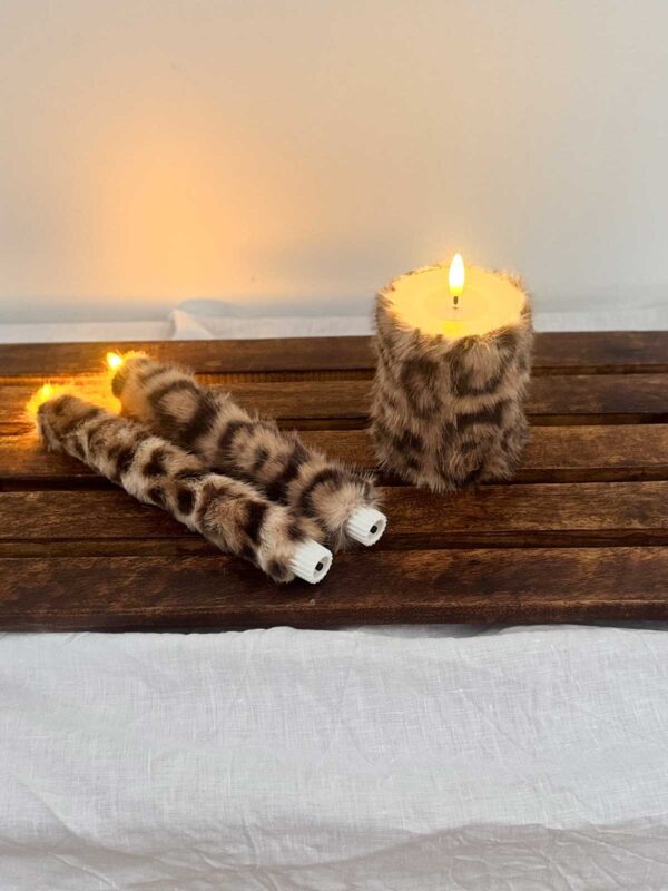 Ljuskitt brun leopard korthårig päls